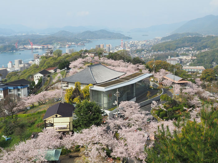 桜満開の千光寺公園