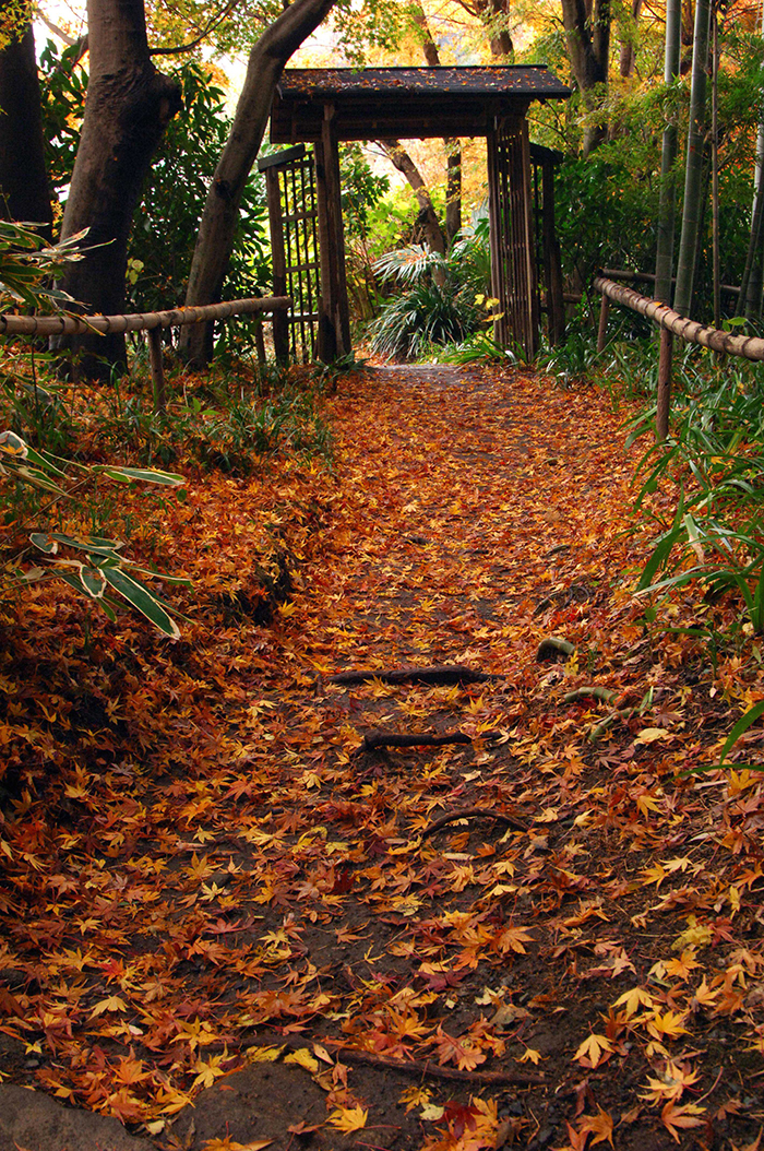 英勝寺(写真提供:鎌倉観光協会)