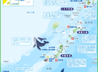 南の島（南西諸島）map