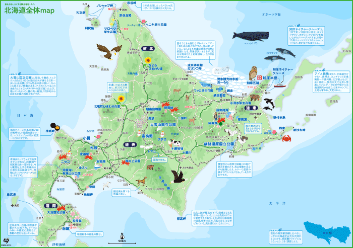 北海道 全体map（タップで大きい画像が開きます。PDFは 最下部にあります）