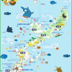 沖縄本島map（タップで大きい画像が開きます。PDFは 最下部にあります）