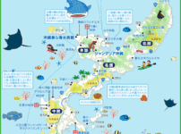 沖縄本島map（タップで大きい画像が開きます。PDFは 最下部にあります）