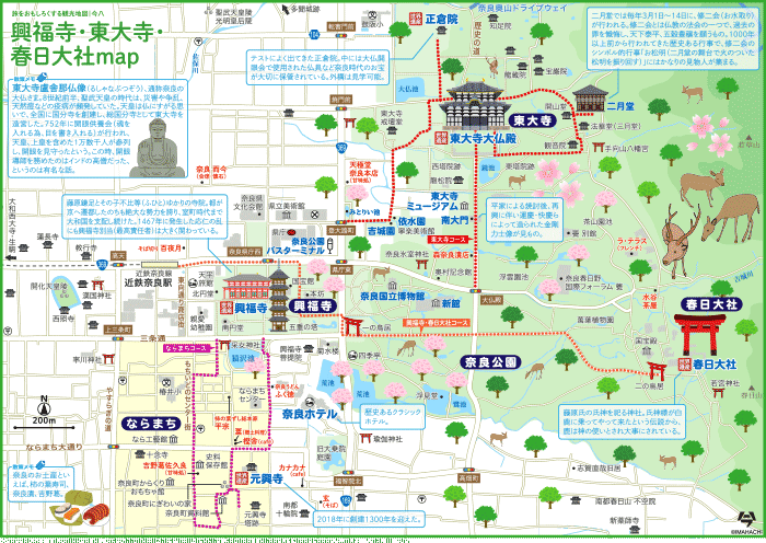 奈良公園map