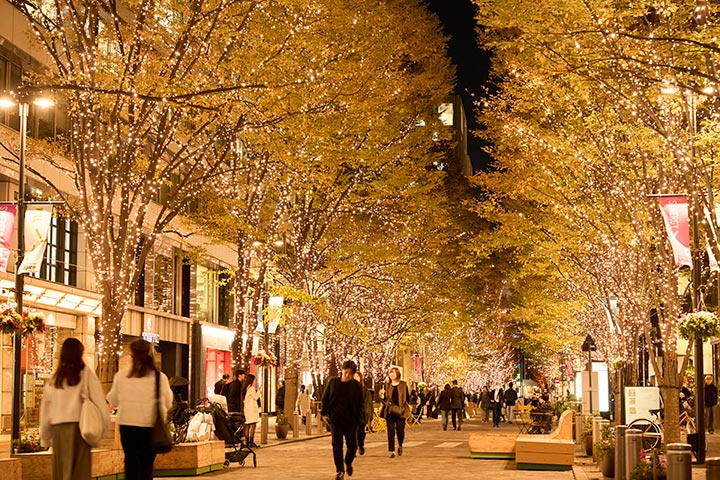 東京丸の内仲通りイルミネーション