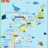 OKINAWA MAP